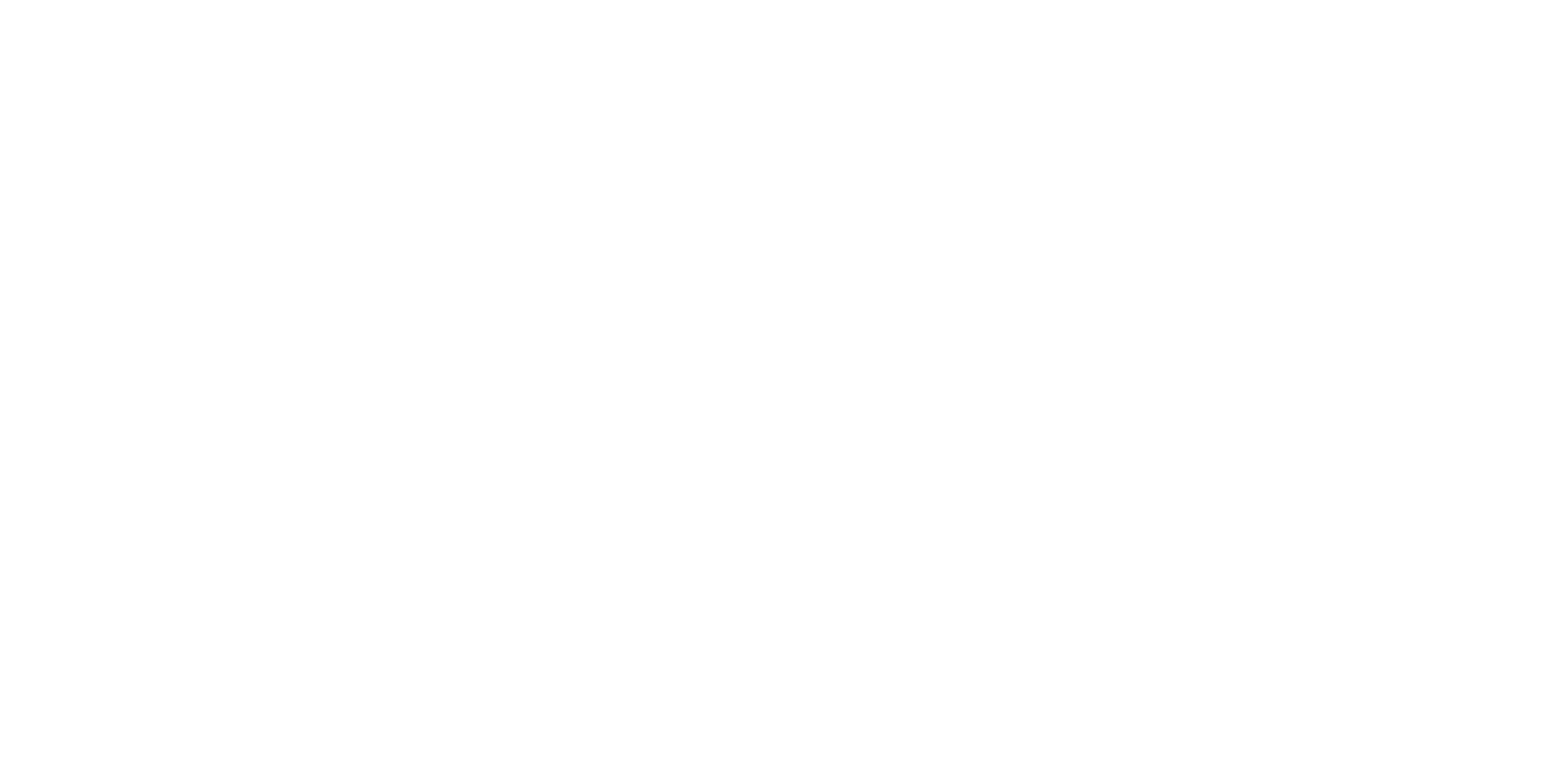 NeoIN Logo
